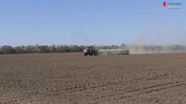 Скоростной сев с бункером-перегрузчиком на Кировском конезаводе. Ростовская область