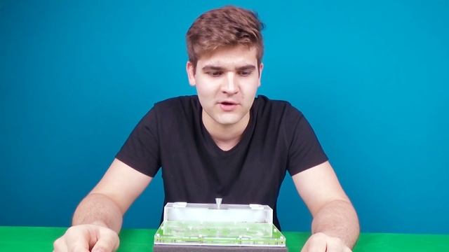 Домашние муравьи | Как ухаживать | Где купить | Всё о муравьях смотреть онлайн