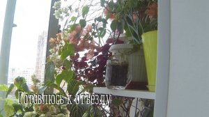 Выношу цветы с балкона. Почему сорвалась рыбалка.