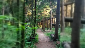 14.06.2023 19:12 [Тропинка, которая манит]