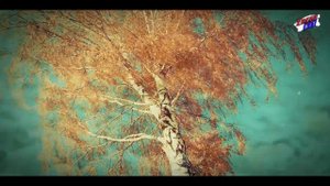 Просто шикарная песня! Послушайте! Березка!