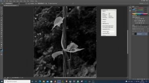 Photography Editing on Adobe Photoshop : See the final photo before shoot ( 08.07.2021 )