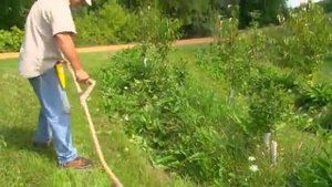 Джеф Лотон - Как делать пермакультурный дизайн