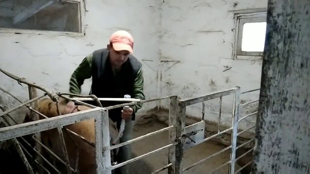 Хоровод с Люсей ?? Люся ждёт не меня? смотреть онлайн