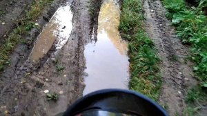 Муравей на вариаторе