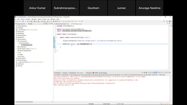 Selenium with Java Training - Class 14 - Starting with Selenium, WebDriver Interface Browser classe