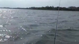 Рыбалка на Курчатовском водохранилище на судака в начале июня