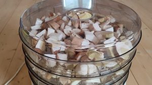 Картошка с белыми грибами , в сметане .