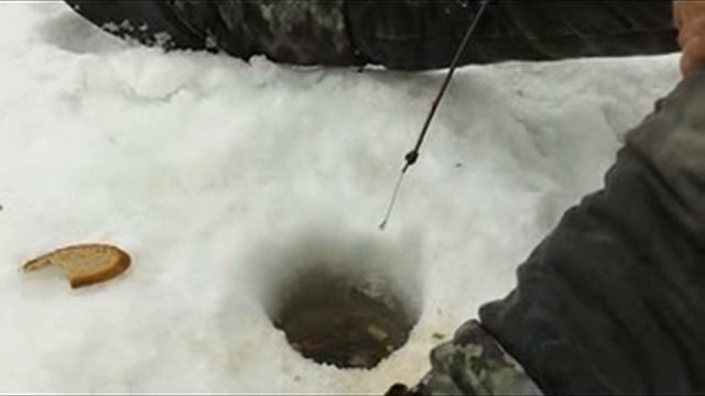 Akabak-hs,ribalka.flv смотреть онлайн