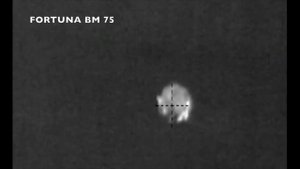 FORTUNA.ARMY - тепловизор, охота с тепловизором, кабан в тепловизионный прицел