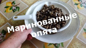 Маринованные опята готовим вкусно и просто