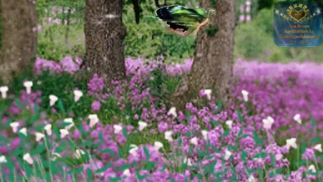 Заказать поздравления на День рождения, девочке, 10 лет! смотреть онлайн