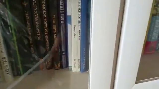 Книжный шкаф (артикул: 0163) смотреть онлайн