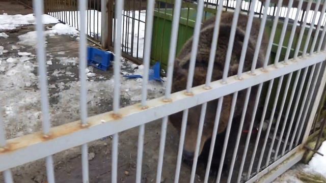 Тоня смотреть онлайн