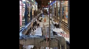 Пешеходная зона Метро Приморская