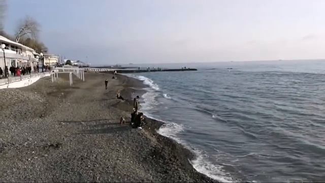 Сочи 2019 Какие Сложности При Поиске Квартиры