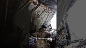 укроинский профессионал