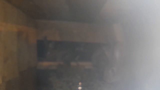 Кролики едят полынь смотреть онлайн