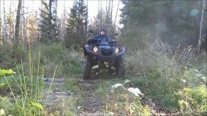 Квадроцикл Стелс Леопард