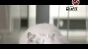 (2015) Gourmet Perle (корм для котов) - Путь к сердцу кота