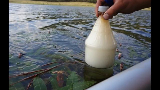 Жека РАСТУ Душа Бонус 2016 смотреть онлайн