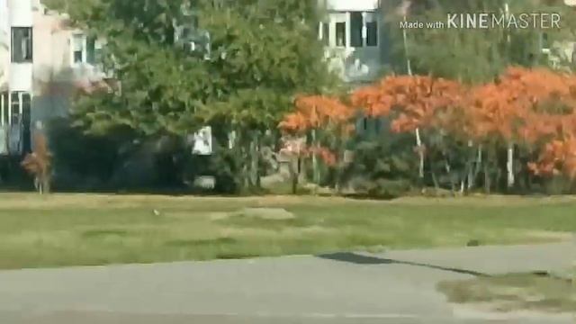ОСЕНЬ! КРАСОТА ОСЕНИ! ПОСМОТРИТЕ НА ЭТУ КРАСОТУ!