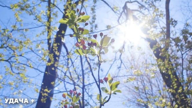 1 октября День Арины .Что нельзя делать 1 октября день Арины Народные традиции и приметы и суеверия