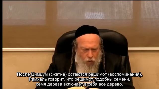 Талмуд Десяти Сфирот, часть третья, глава1. (урок 1) смотреть онлайн