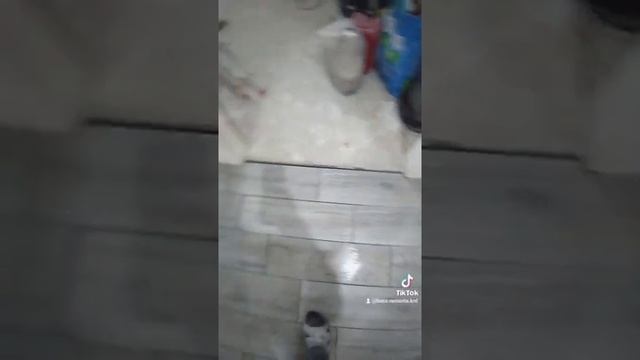 ремонт Краснодар.