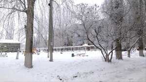 В нашем дворе 1