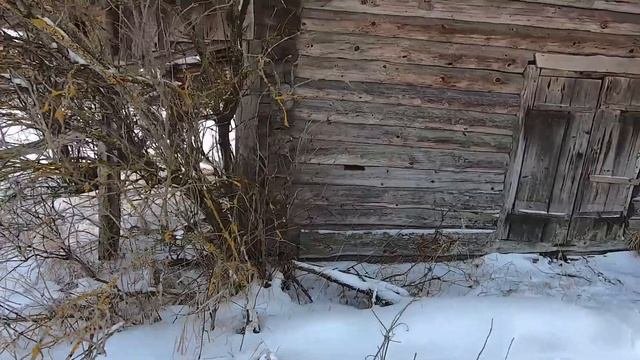 Старая деревня в Орловском полесье. Интересные находки.