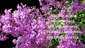 Мой фильм.wlmp   Ну, здравствуй милая !!!