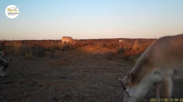 Приоткрывая заповедные двери... Молодежная тусовка смотреть онлайн