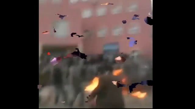 приколы года 5