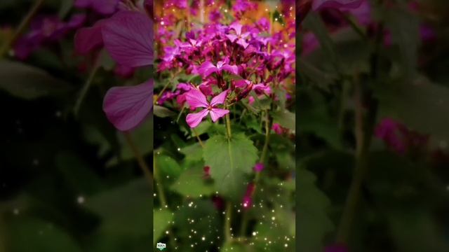 Доброго весеннего дня