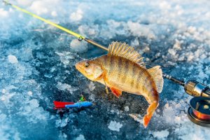 Первый лёд 2022-23! Эффективная рыбалка в Ноябре. Рыбалка на Крупняк