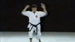 Шито-рю каратэ.Ката Сайфа.Saifa Shito Ryu