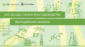 Выращивание малины