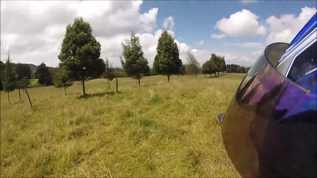 MFP suzuki rm 85 l Prueba