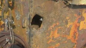 02 Задержание браконьеров на СРТМ Пограничниками