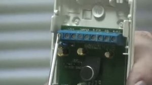 SWAN PGB извещатель движения и разрушения стекла