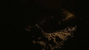 Prehistoric.Planet.S02E01.Доисторическая планета.Девид Аттенборо.