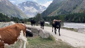 Священная гора Уллу Тау место исполнения желаний - Серия №4 Все пучком TRIP