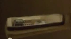 Дети матрицы