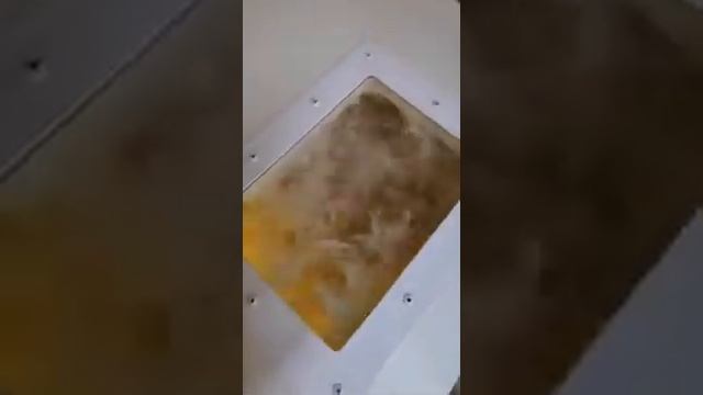 сухая чистка подушек смотреть онлайн