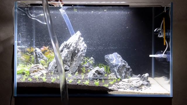 Аквариум 60 литров и Chihiros A601 смотреть онлайн