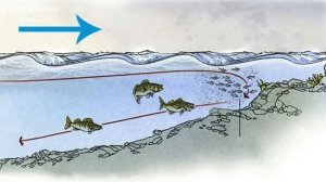 Почему не стоит ехать на рыбалку если ветер дует с востока!