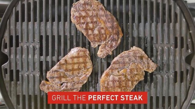 Weber 52020001 Q1400 Electric Grill смотреть онлайн