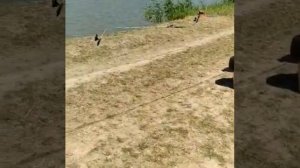 Хорошая рыбалка и отдых, станица Черноерковская