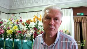 Выставка «Лилии»: красота, аромат и радость